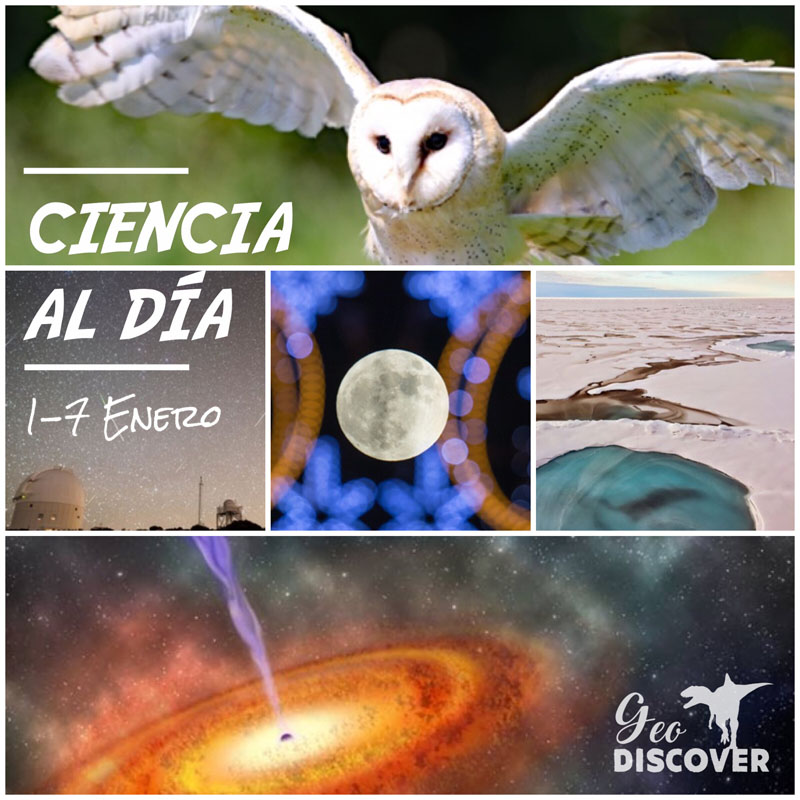 Cabecera de Ciencia al Día