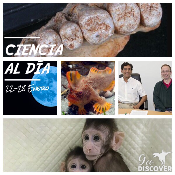 Cabecera de Ciencia al Día