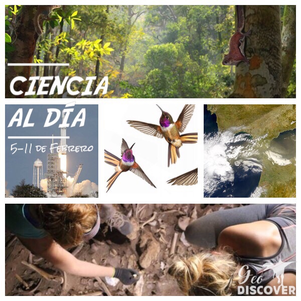 Cabecera de Ciencia al Día