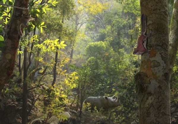 Reconstrucción paleontológica de una ardilla voladora (primer plano) en los ambientes forestales de la región septentrional (Cataluña y sur de Francia) hace unos diez millones de años por Oscar Sanisidro (Vertebrate Paleontology. Biodiversitiy Institute, University of Kansas).