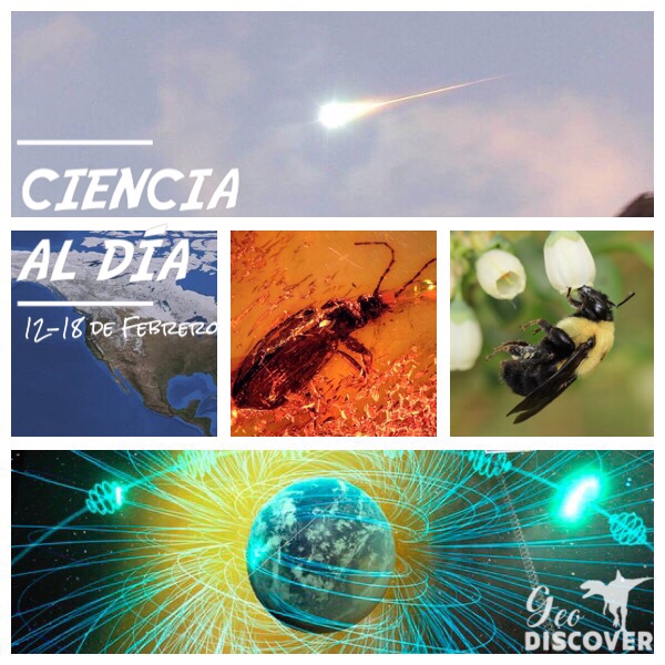 Cabecera de Ciencia al Día